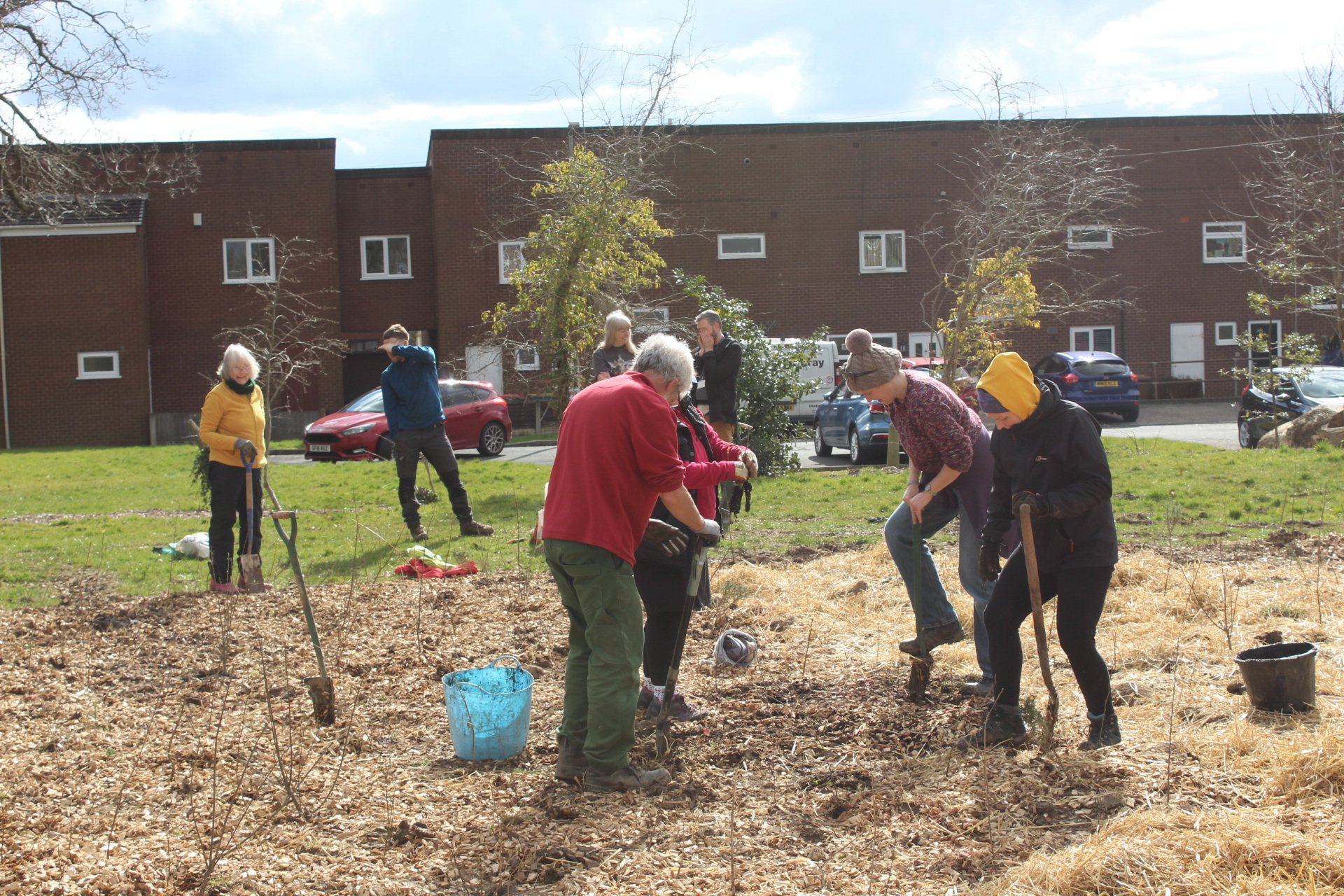 Group of people digging into the ground with large spades