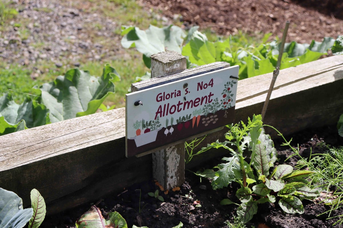 A sign stuck into the soil reading Gloria's Allotment No.4