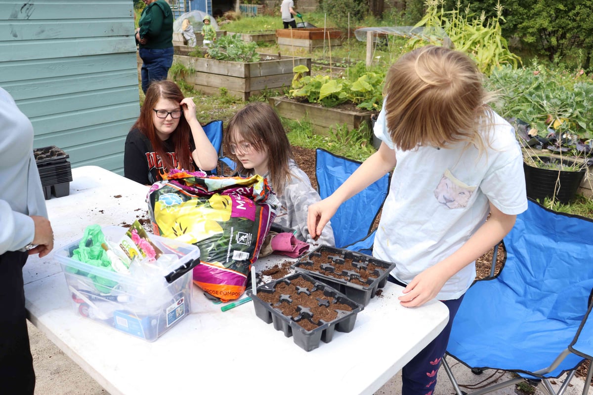 Three older children at a table at the allotments planting seeds