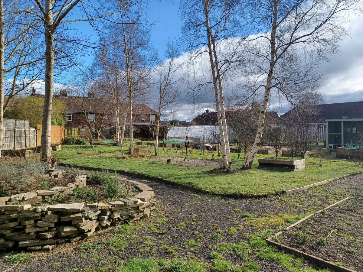 Allotment site showing a green space with bare trees