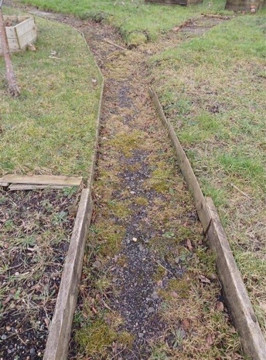 Picture of old paths 