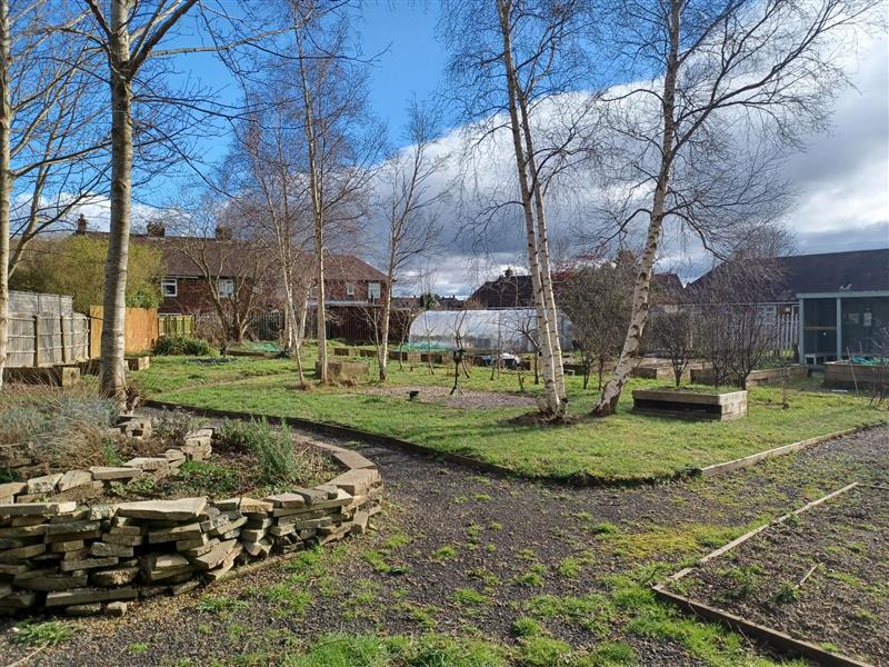 picture of the allotments showing the old paths 