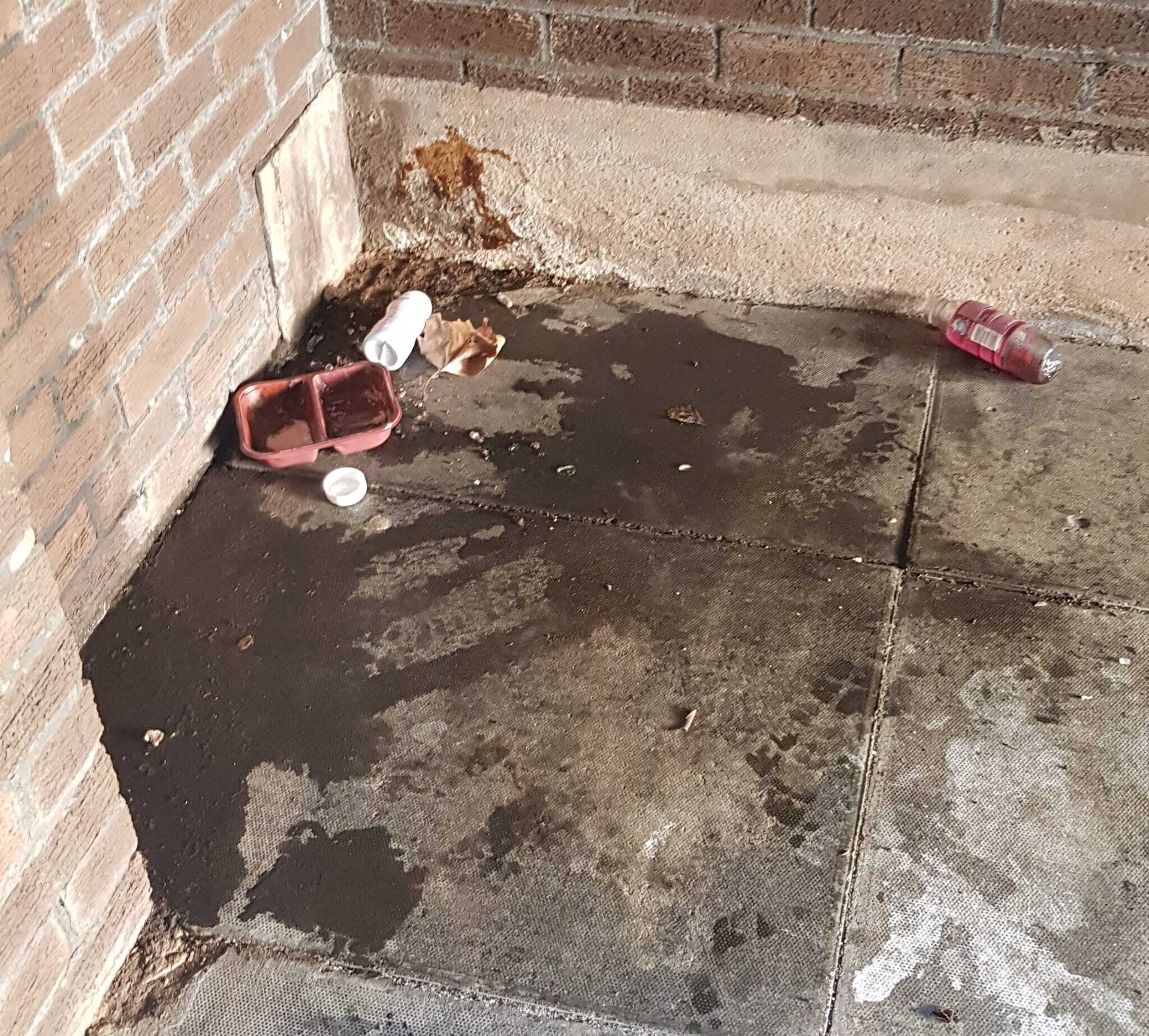 Picture of human fluids and defecation in underpass